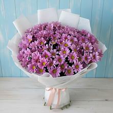 Букет цветов из:  Хризантемы #REPLACE_PRED# Подосиновец