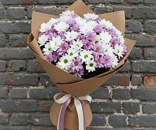 Букет цветов из:  Хризантемы #REPLACE_PRED# Подосиновец