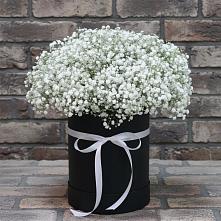 Цветочная композиция из Гипсофила в шляпной коробке в Подосиновец