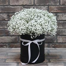 Цветочная композиция из Гипсофила в шляпной коробке в Подосиновец