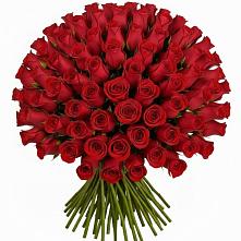 Букет Красные розы Чери Лав в Подосиновец