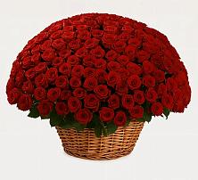 Премиум букет из: Розы #REPLACE_PRED# Подосиновец